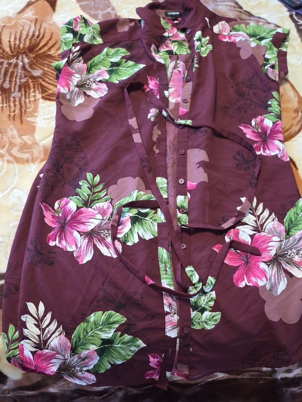 Express Shirt Dress